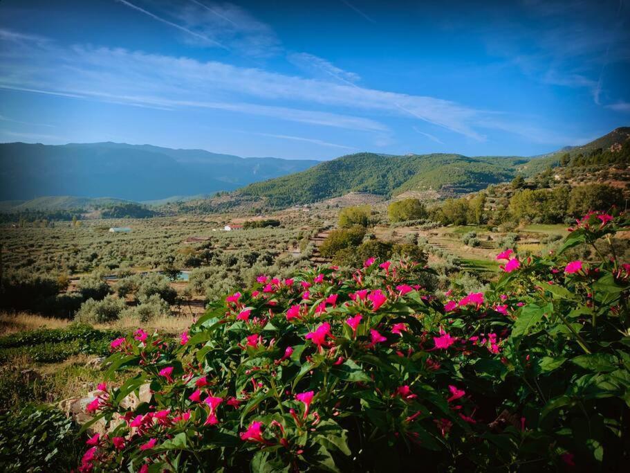 Villa Casa Lourdes Yeste Esterno foto