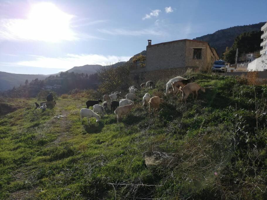 Villa Casa Lourdes Yeste Esterno foto